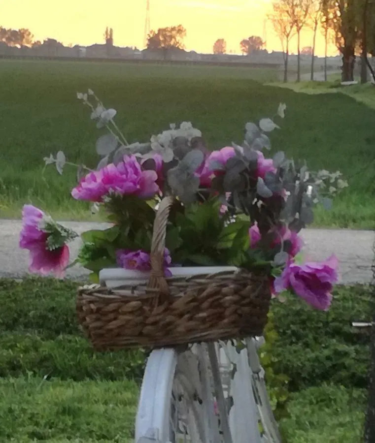 Agriturismo Boschi Reggiolo Farm stay
